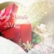 Bonne ann�e 2016 !!